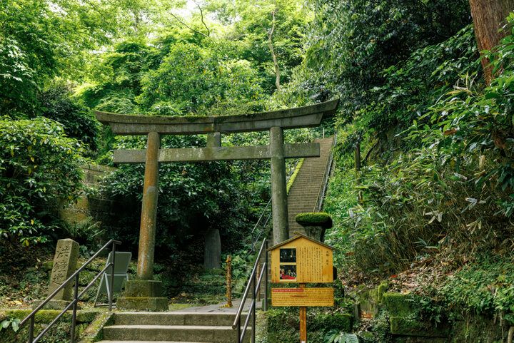 北鎌倉の天空カフェ♪ 円覚寺の絶景テラスで心うるおうひととき「弁天茶屋 航」 