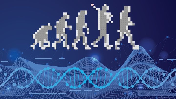 遺伝子スイッチが起こした大革命──私たちの骨盤進化