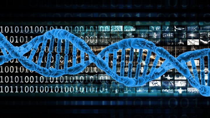 種の運命を左右する遺伝子の『抜け道』