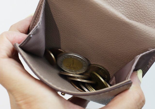 宝島社VISハートカットミニ財布小銭入れ