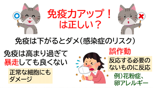 短鎖脂肪酸が免疫力のカギ？食物繊維と乳酸菌で整える腸のチカラ免疫力アップは正しい？
