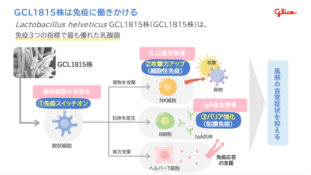 短鎖脂肪酸が免疫力のカギ？食物繊維と乳酸菌で整える腸のチカラGCL18153つの指標