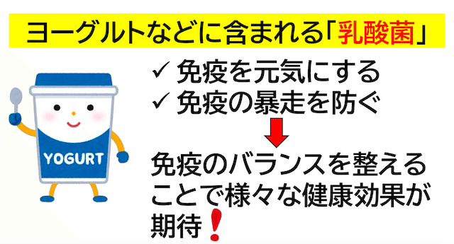 短鎖脂肪酸が免疫力のカギ？食物繊維と乳酸菌で整える腸のチカラヨーグルト 乳酸菌