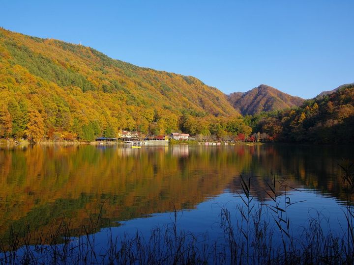 大東建託は、山梨県に住む20歳以上の男女を対象に居住満足度調査を行い、「いい部屋ネット 住み続けたい街ランキング2025＜山梨県版＞」として発表しました。山梨県民が選ぶ「住み続けたい自治体」ランキングの2位は「西八代郡市川三郷町」、1位は？