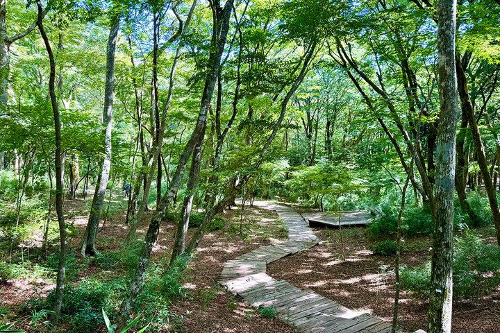 森の遊歩道や絶景カフェも。箱根の自然に溶け込む癒やしのミュージアム「ポーラ美術館」