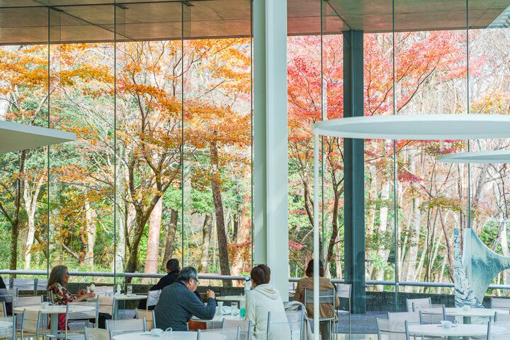 森の遊歩道や絶景カフェも。箱根の自然に溶け込む癒やしのミュージアム「ポーラ美術館」