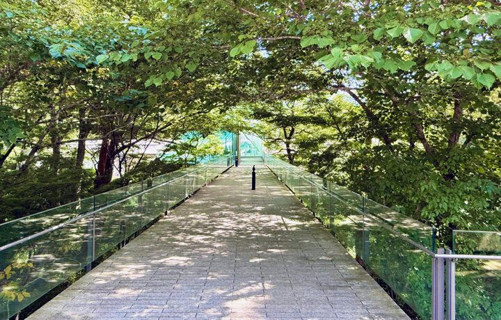 森の遊歩道や絶景カフェも。箱根の自然に溶け込む癒やしのミュージアム「ポーラ美術館」