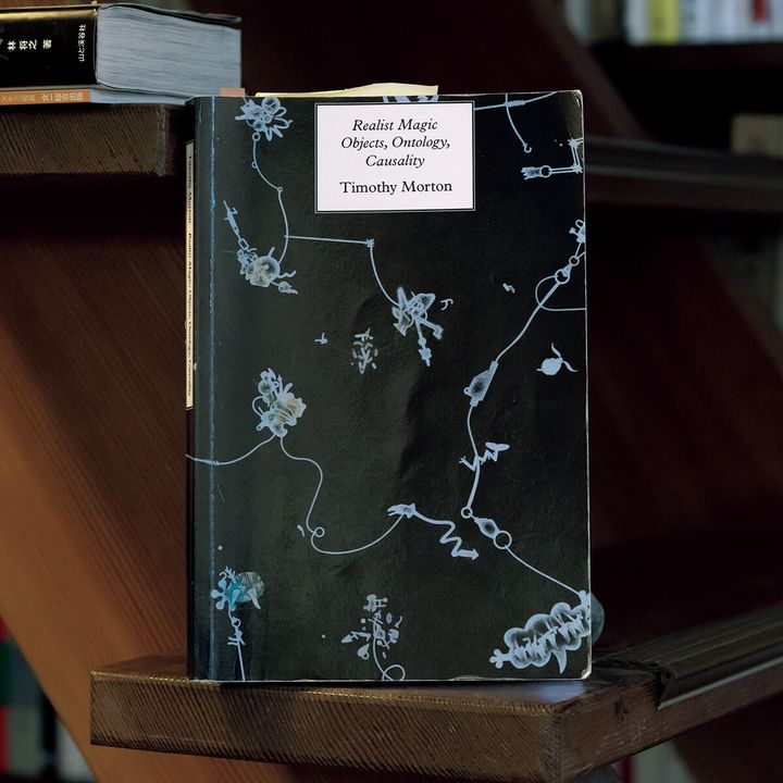 『Realist Magic Objects, Ontology, Causality』Timothy Morton／著