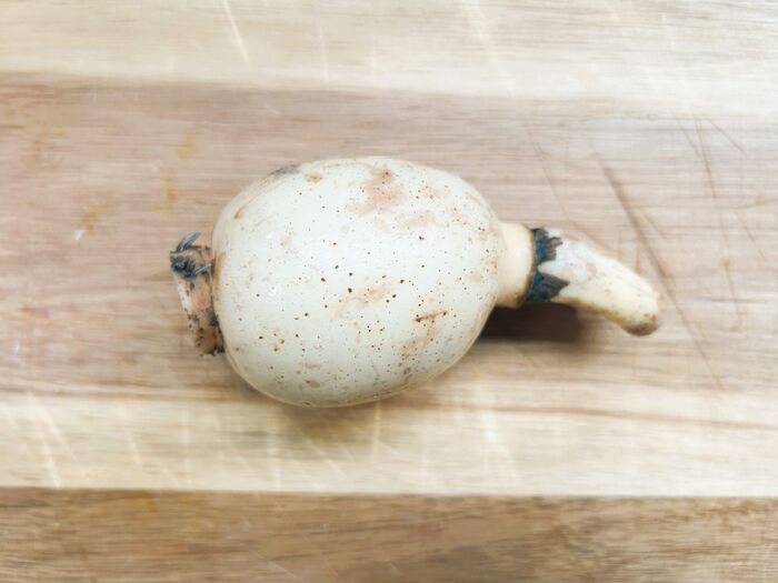 レンコンの穴が黒い…これって食べても大丈夫？正しい洗い方を調べてみた。