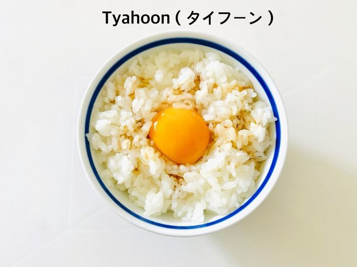 混ぜる順番を変えるだけで…！？卵かけごはんがめちゃウマになる驚きワザ【至極のTKG作ってみた】