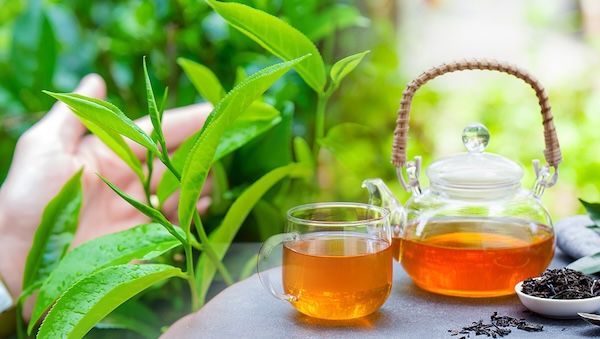 スリランカ発の紅茶ブランド「EMINENT」が日本初上陸。本格紅茶を身近に