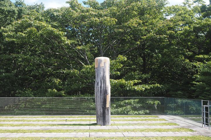 森林浴とアートを楽しみながら絶品ランチ♪ 箱根で特別な時間が過ごせるポーラ美術館の「レストラン アレイ」