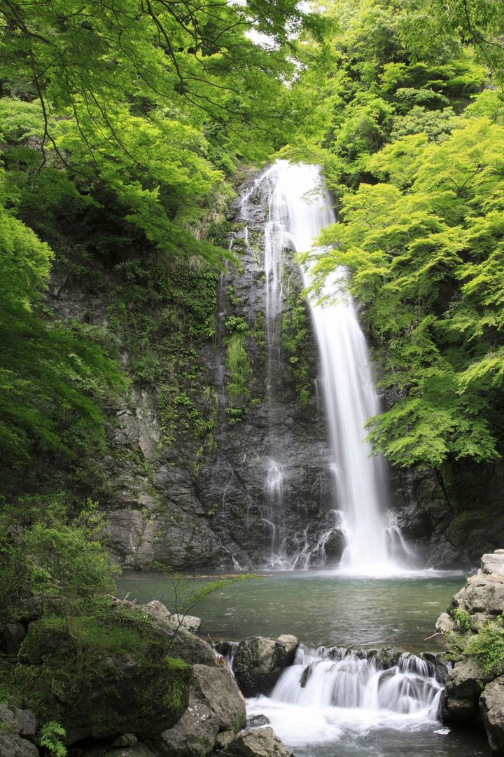 Photo_ paylessimages/123RF