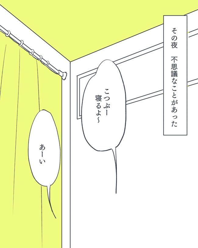 お空に行ったきみのはなし／かばのき