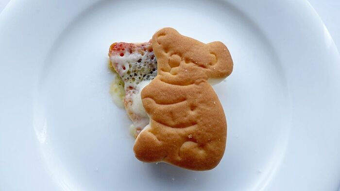 【無印良品】人気の「コアラパン」はこう食べる！かわいくて美味しい簡単アレンジ4選♪