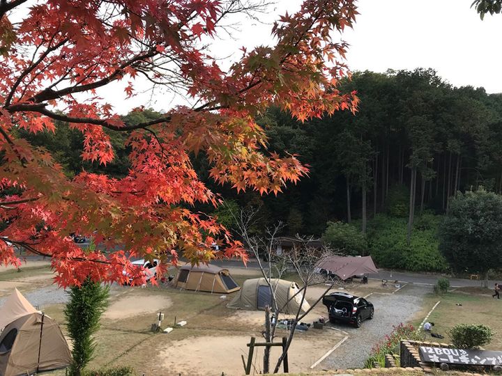 「スリーコインズが本気出した」車移動が超快適になる！車載用ファンが暑さ対策に大活躍！