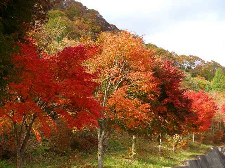 「スリーコインズが本気出した」車移動が超快適になる！車載用ファンが暑さ対策に大活躍！
