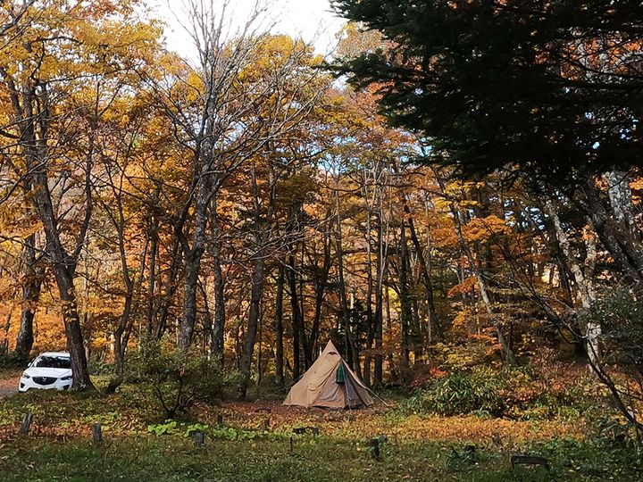 「スリーコインズが本気出した」車移動が超快適になる！車載用ファンが暑さ対策に大活躍！