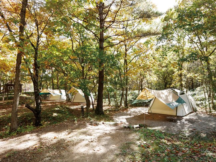 「スリーコインズが本気出した」車移動が超快適になる！車載用ファンが暑さ対策に大活躍！