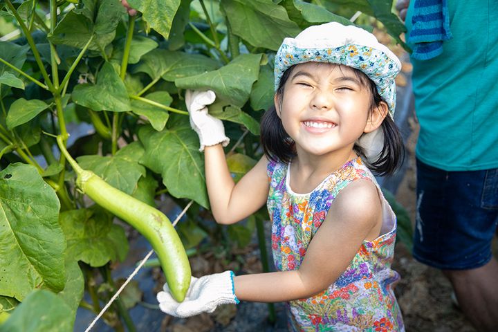「スリーコインズが本気出した」車移動が超快適になる！車載用ファンが暑さ対策に大活躍！