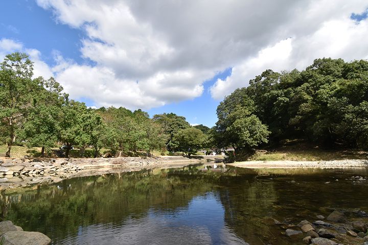 「スリーコインズが本気出した」車移動が超快適になる！車載用ファンが暑さ対策に大活躍！