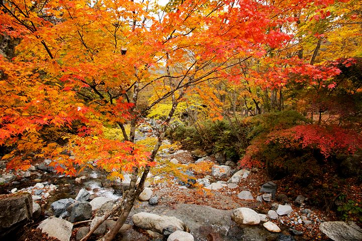 「スリーコインズが本気出した」車移動が超快適になる！車載用ファンが暑さ対策に大活躍！