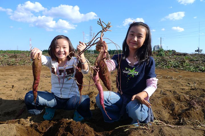 「スリーコインズが本気出した」車移動が超快適になる！車載用ファンが暑さ対策に大活躍！