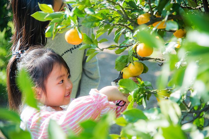 「スリーコインズが本気出した」車移動が超快適になる！車載用ファンが暑さ対策に大活躍！
