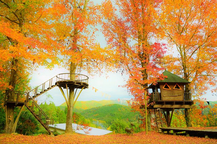 「スリーコインズが本気出した」車移動が超快適になる！車載用ファンが暑さ対策に大活躍！