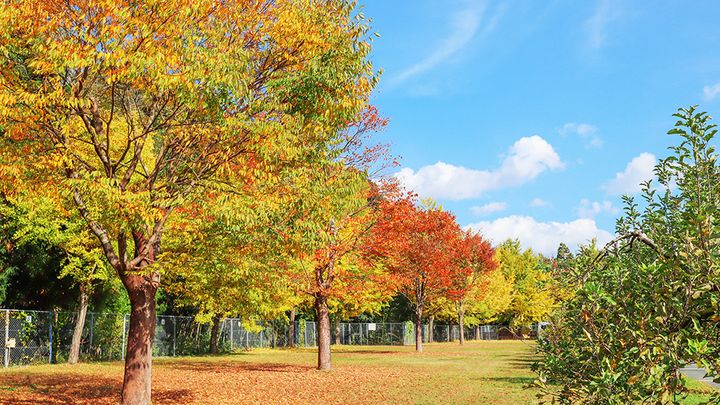 「スリーコインズが本気出した」車移動が超快適になる！車載用ファンが暑さ対策に大活躍！