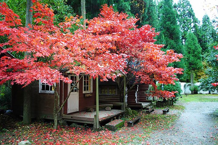 「スリーコインズが本気出した」車移動が超快適になる！車載用ファンが暑さ対策に大活躍！