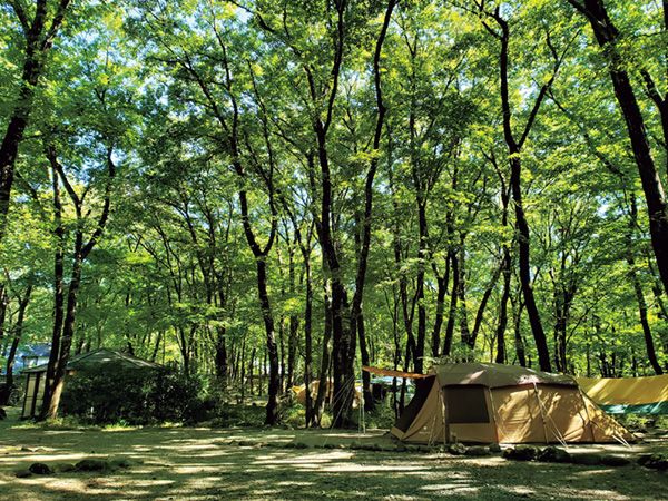 「スリーコインズが本気出した」車移動が超快適になる！車載用ファンが暑さ対策に大活躍！