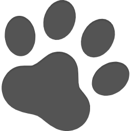 初めてのソロキャンプは何をすればいいの？必要なアイテムや事前準備を徹底解説！