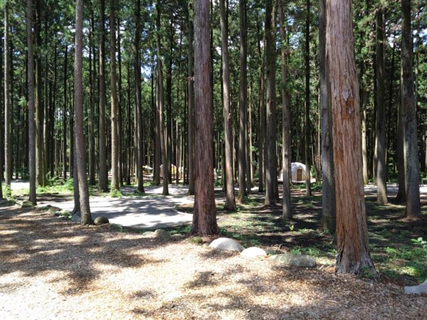 初心者におすすめ！キャンピングカーが利用できるキャンプ場11選【新潟県】