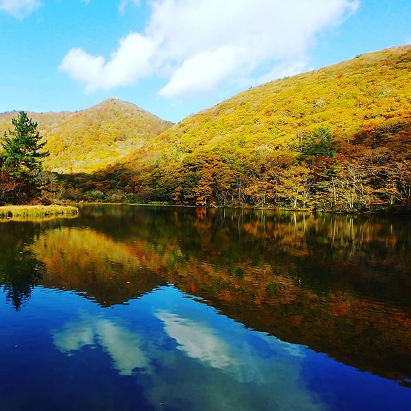 初心者におすすめ！キャンピングカーが利用できるキャンプ場11選【新潟県】