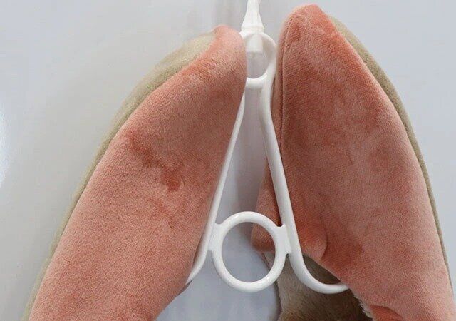 ダイソー シューズハンガー2P