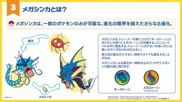 メガシンカを知る_ポケモン