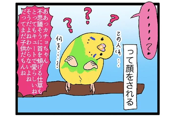 かわいさ全開！コザクラインコとセキセイインコがくれる癒やし【鳥マンガ #122】