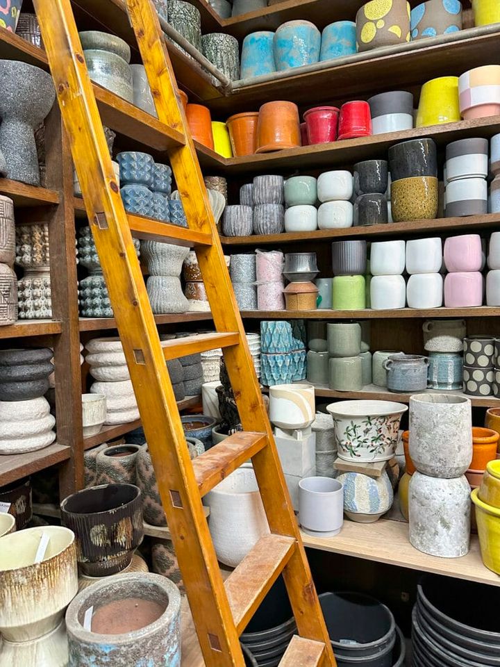 Botanical Atelier Ressourcesの月イチセールへ菅沼伊万里