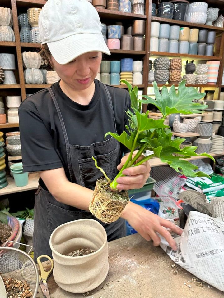 Botanical Atelier Ressourcesの月イチセールへ菅沼伊万里