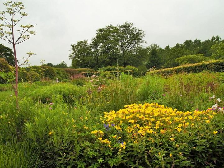 アウドルフ氏の自宅庭2012（筆者撮影）