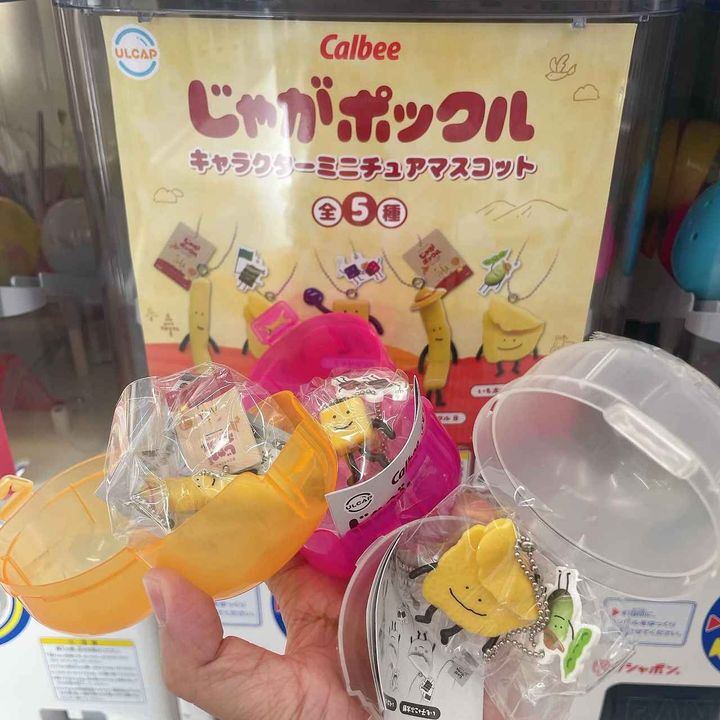 画像1: 出典：Instagram