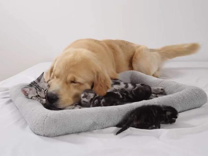 みんな幸せそう……！