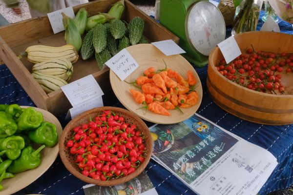 【山梨県北杜市】ナチュラルガーデンズMOEGIで「萌木の村ハロウィンマンス2025～魔女とカボチャのガーデンパーティー」開催
