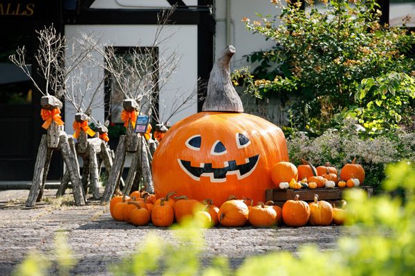 【山梨県北杜市】ナチュラルガーデンズMOEGIで「萌木の村ハロウィンマンス2025～魔女とカボチャのガーデンパーティー」開催
