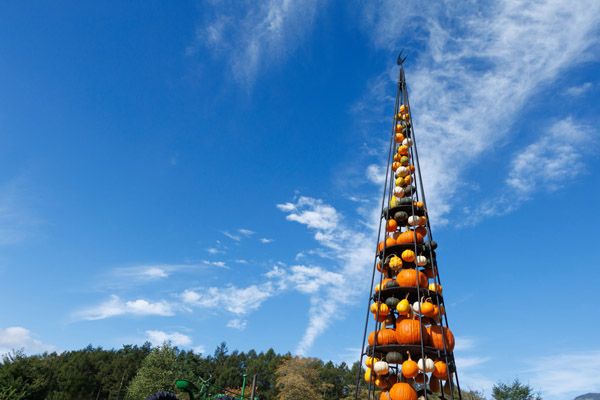 【山梨県北杜市】ナチュラルガーデンズMOEGIで「萌木の村ハロウィンマンス2025～魔女とカボチャのガーデンパーティー」開催