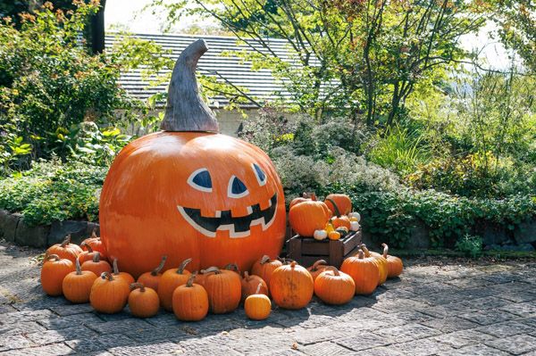 【山梨県北杜市】ナチュラルガーデンズMOEGIで「萌木の村ハロウィンマンス2025～魔女とカボチャのガーデンパーティー」開催