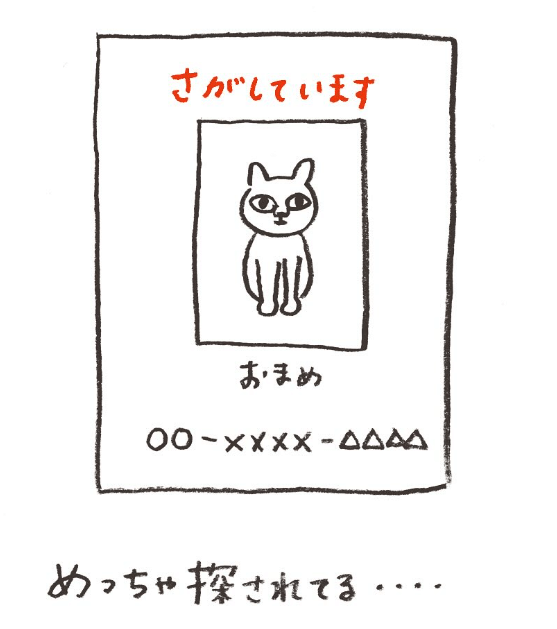 街でたまに見かける探し猫や犬のポスター。結局見つかったのかは分からないまま、ポスターだけが気が付いたら無くなっていますよね。