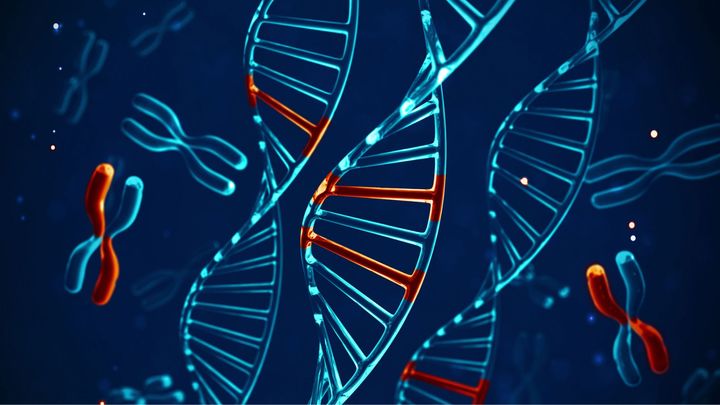 痛みを感じず、傷の治りも早いスコットランド人の女性の秘密を解明