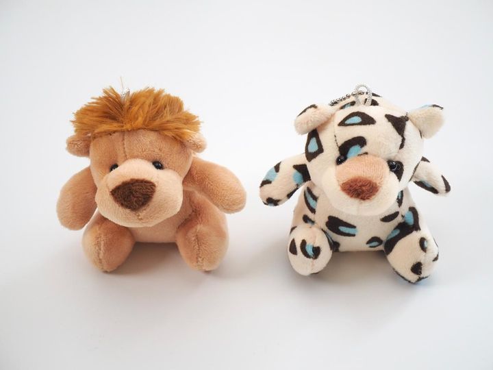 画像2: 出典：ftn_pics